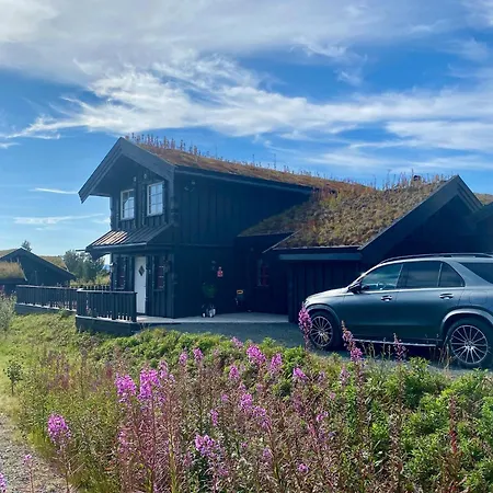 Bjarnebu - 4 Bedroom In * Rauland