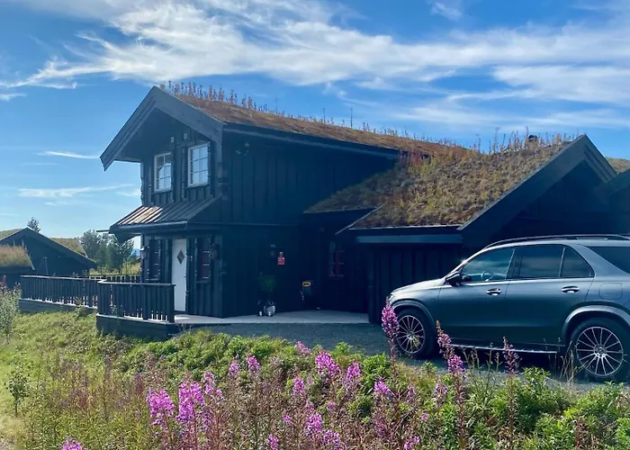 Bjarnebu - 4 Bedroom In * Rauland